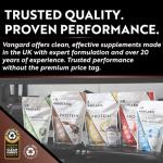 Vangard Chocolate Whey Protein Powder 500g