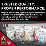 Vangard Essential Whey Protein - Strawberry, 1kg