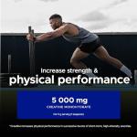USN Micronized Creatine Monohydrate Powder 500g: Improve Your Performance With Unflavoured Creatine Powder, Energy Boosting Pre train and Post Workout Recovery Powder