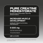 USN Micronized Creatine Monohydrate Powder 500g: Improve Your Performance With Unflavoured Creatine Powder, Energy Boosting Pre train and Post Workout Recovery Powder