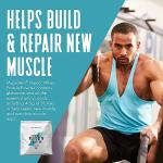 Impact Whey Protein Powder Vanilla 500g – 23g Protein