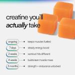 Ovrload Crealyte Gummies - 90 Creatine Gummies