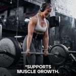 Bulk Vegan Vanilla Protein Powder - 500g