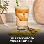 Bulk Vegan Vanilla Protein Powder - 500g