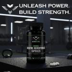 Gym Guru Creatine Monohydrate Capsules - 240 Count