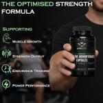 Gym Guru Creatine Monohydrate Capsules - 240 Count