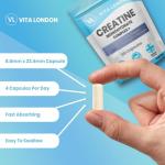 Creatine Monohydrate with BCAAs and Electrolytes Capsules