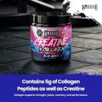 Warrior Creatine Powder with Hydrolyzed Collagen 270g