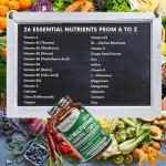 Nutrabytes Vegan A-Z Multivitamin & Mineral Complex