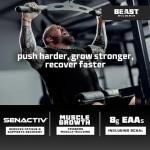 Beast Pharm EAA Amino Acids Powder - Strawberry Kiwi