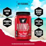 BSN Amino X Watermelon Flavored Amino Acid Supplement
