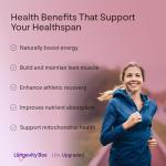 Longevity Box Amino Acids Powder - Wildberry Flavor