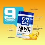 USN Nine Aminos – BCAA & EAA Powder, Pineapple