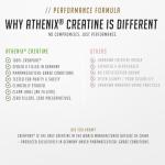 Creapure® Premium Creatine Monohydrate - Unflavored 250g