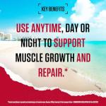 BSN Syntha 6 Edge Low Carb Protein Powder