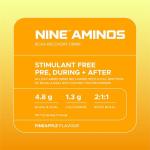 USN Nine Aminos – BCAA & EAA Powder, Pineapple