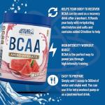BCAA Powder 450g with Lifestyle Water Bottle