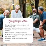 Zipvit A-Z Vegan Multivitamins for Men and Women