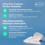 Creapure Creatine Monohydrate Powder 300g Unflavoured