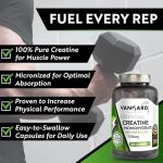 Micronised Creatine Monohydrate Capsules for Strength