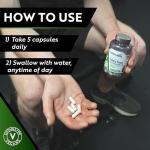 Micronised Creatine Monohydrate Capsules for Strength