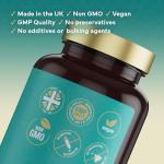 Creatine Monohydrate Capsules for Women’s Energy & Strength