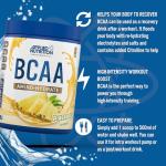 Applied Nutrition BCAA Powder Bundle with Water Bottle