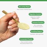 Metagenics MetaDigest Repair - Vegan L-Glutamine Powder