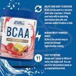 BCAA Powder 450g & 1000ml Water Bottle Bundle