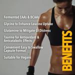 Vegan Essential Amino Acids for Muscle Recovery