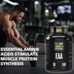 Vegan Essential Amino Acids for Muscle Recovery