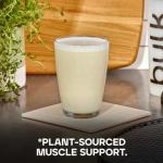 Vegan Protein Powder Unflavored 1 kg Bulk Size