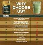 Spartan Labs Super Greens Powder - Vegan Superfood Blend