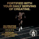 Spartan Labs Super Greens Powder - Vegan Superfood Blend