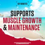 BSN Syntha 6 Protein Powder - Vanilla Cheesecake