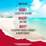 BSN Syntha 6 Protein Powder - Vanilla Cheesecake