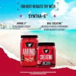 BSN Syntha 6 Protein Powder - Vanilla Cheesecake
