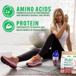 Applied Nutrition Critical Plant Protein Powder