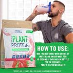 Applied Nutrition Critical Plant Protein Powder