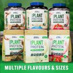 Applied Nutrition Critical Plant Protein Powder