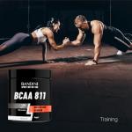 Bandini BCAA 8.1.1 Tablets – Vegan Amino Supplement