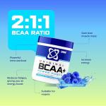 USN BCAA Power Punch Blue Raspberry 400g