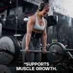 Vegan Protein Powder Shake - Strawberry Flavor, 2.5kg