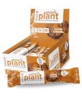 PhD Smart Plant Bar, Salted Caramel, 12 Pack