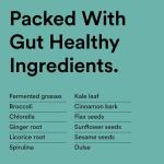 Udo's Choice Vegan Super Greens Powder - 31 Servings