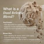 EXALT Vegan Protein Powder - Ghanaian Cacao - 1kg