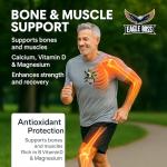 Eagle Boss Multivitamin & Mineral Formula - 90 Capsules
