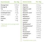 BodyMe Vegan Protein Powder - Chocolate Flavor