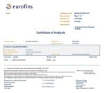 Peach Flavored Creatine Gummies - 60 Count