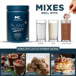 Kinetica Plant Protein Powder - Chocolate Flavor